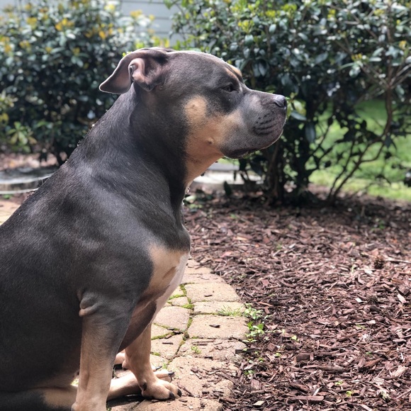 Meet your Posher, Caleb - Picture 1 of 1